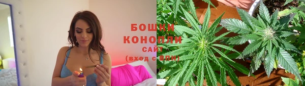 apvp Богородицк