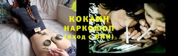 apvp Богородицк