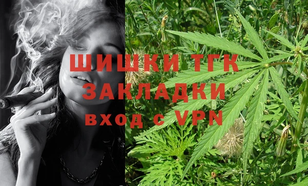 apvp Богородицк