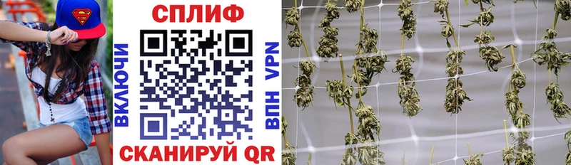 купить   Короча  МАРИХУАНА VHQ 